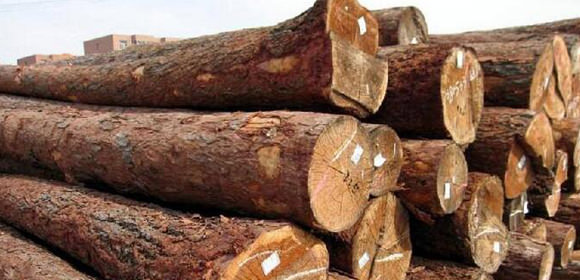 東建鋼結(jié)構(gòu)